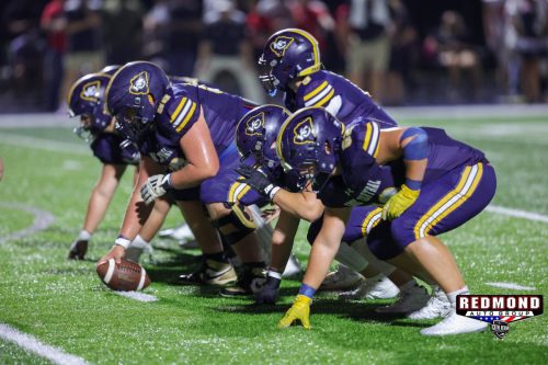 2X2A0320 (1) (1) (1)