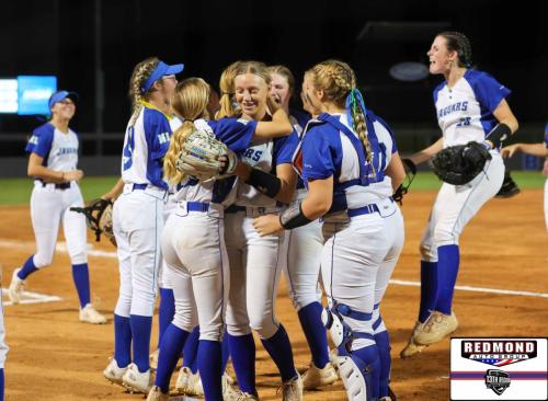 2X2A0333 (1) (1) (1) (1)