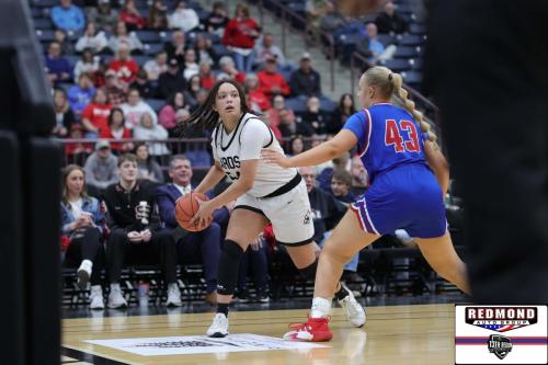 2X2A0346 (1) (1) (1)