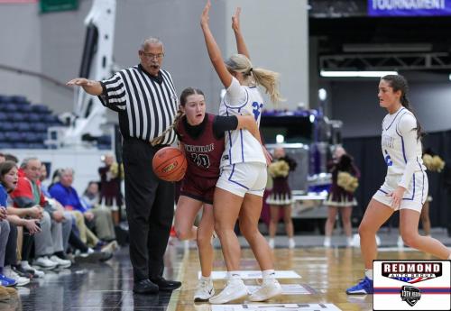 2X2A0449 (1) (1) (1)