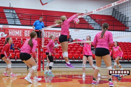 2X2A1067 (1) (1) (1)