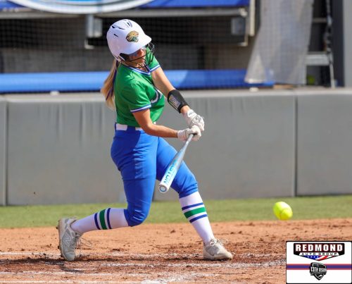 2X2A1195 (1) (1) (1)