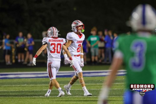 2X2A1999 (1) (1) (1)