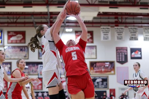 2X2A2446 (1) (1) (1)