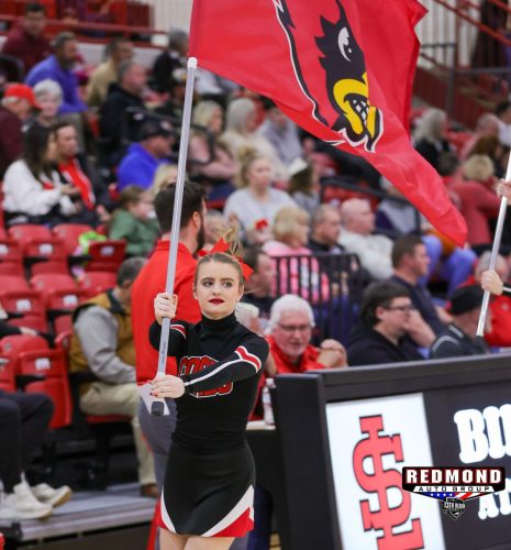 2X2A2479 (1) (1) (1)