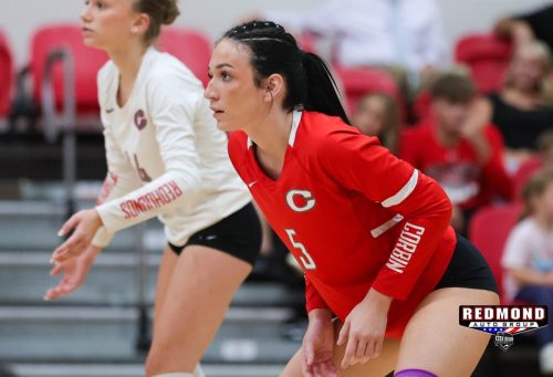 2X2A2861 (1) (1) (1) (1)