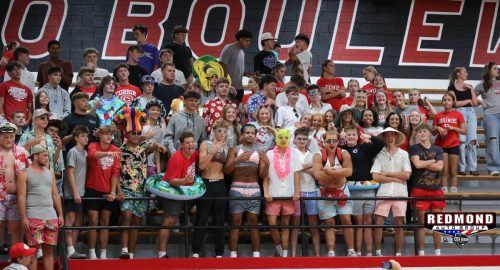 2X2A3153 (1) (1) (1)