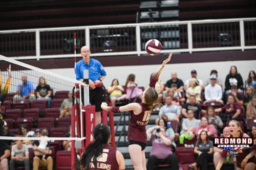 534832021 24768672319403033 5920794391253052082 n-2